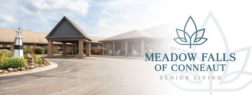 Meadow Falls of Conneaut
