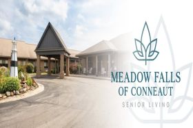 Meadow Falls of Conneaut 