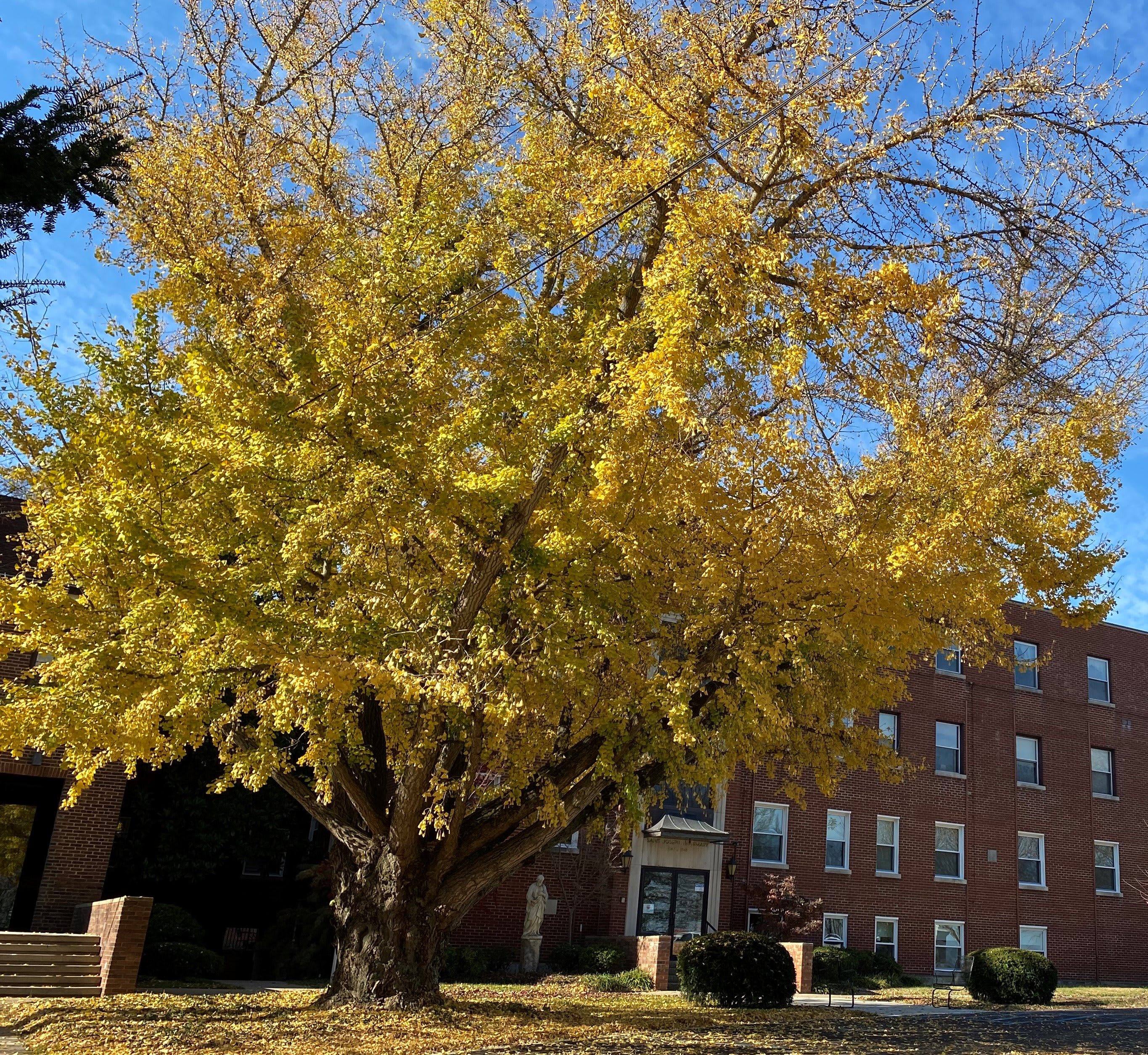 Loretto Living Center at Loretto Motherhouse