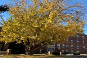 Loretto Living Center at Loretto Motherhouse 