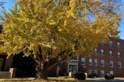 Photo of Loretto Living Center at Loretto Motherhouse
