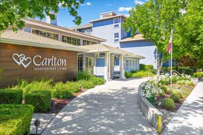 Photo of Carlton Concord
