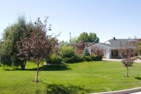 Apple Tree Assisted Living 