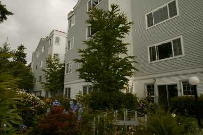 Photo of The Winslow Manor