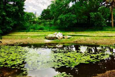 Photo of Langdon Hall Assisted Living