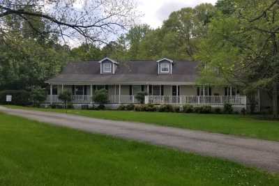 Photo of Dream Catcher