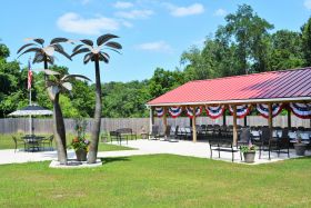 Photo of RC Palms