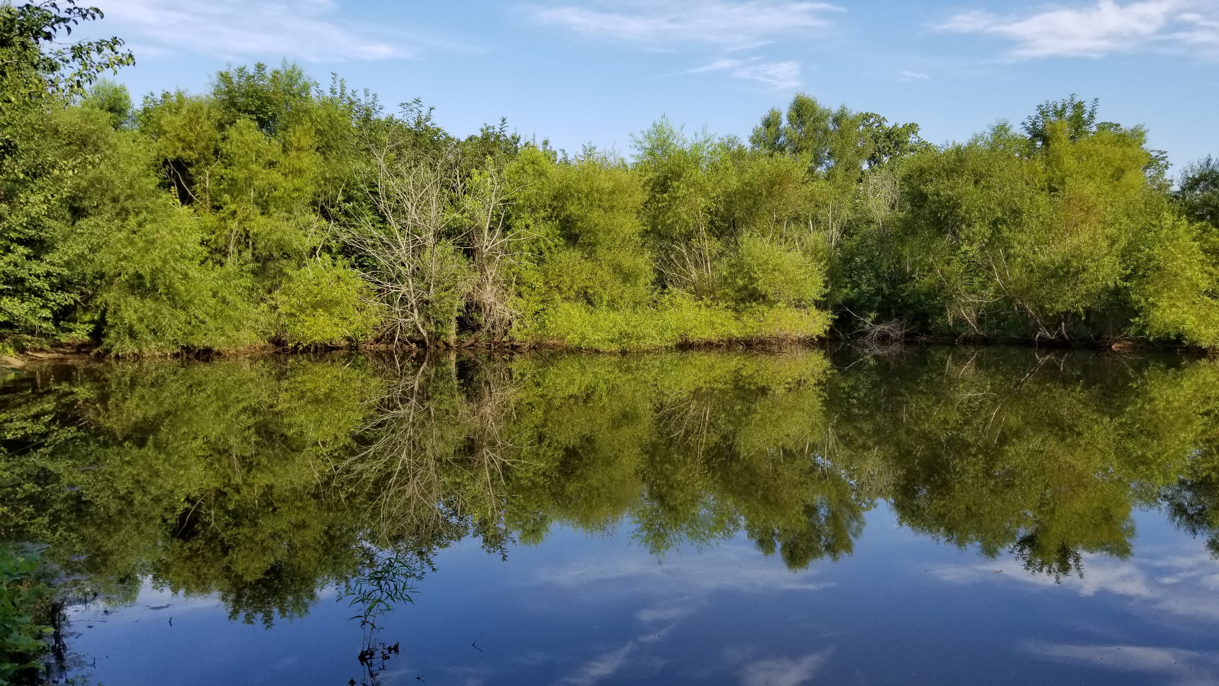 Photo of Assisted Living at Standifer Place