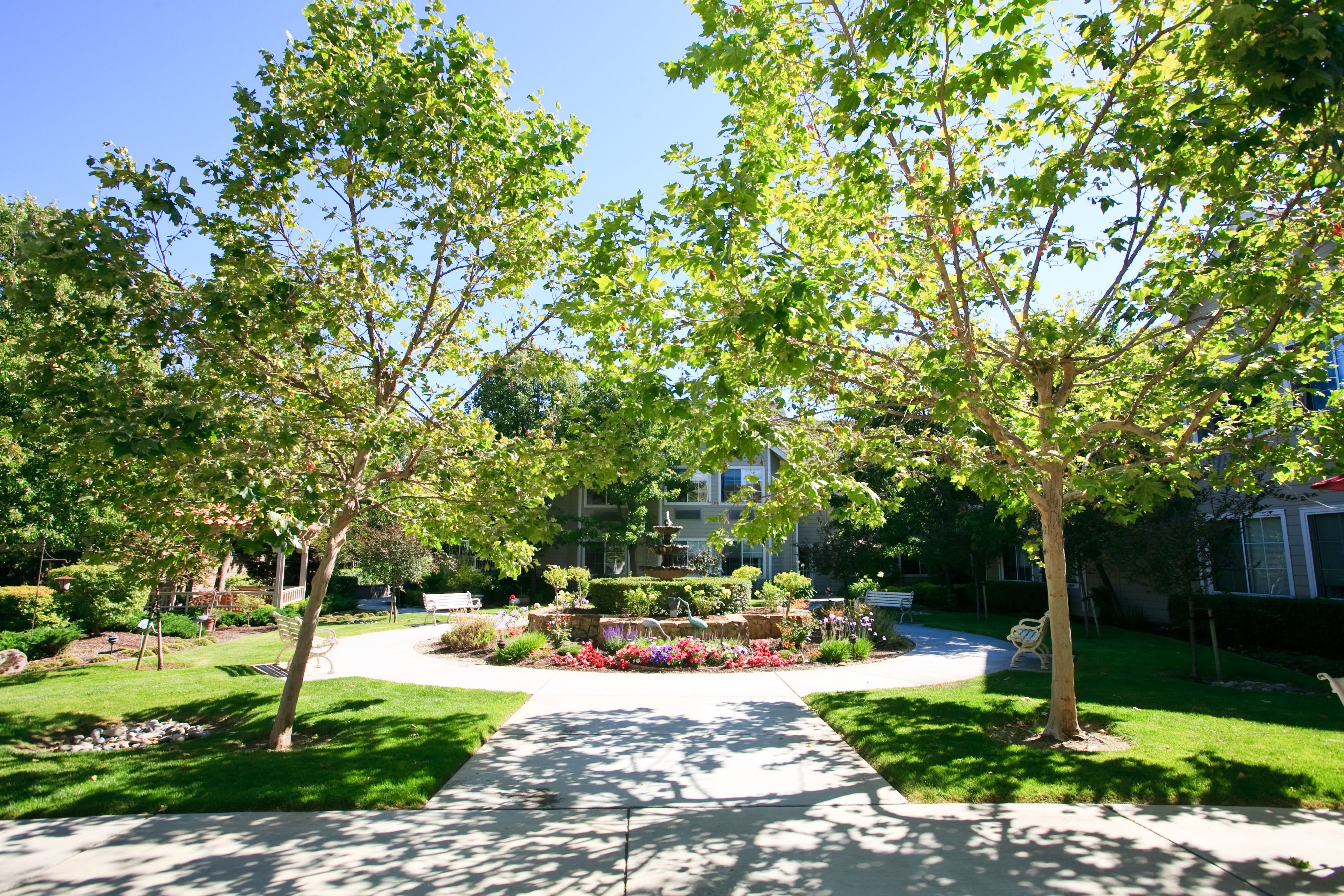 Aegis Gardens Fremont outdoor common area