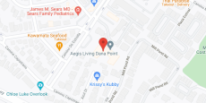 Aegis Living Dana Point in google map