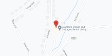 Brookline Village in google map