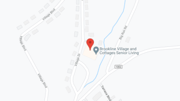 Brookline Village in google map