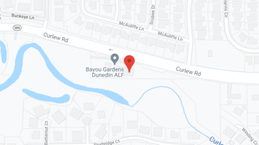 Bayou Gardens Dunedin in google map