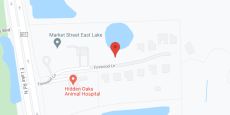 Magnolia Trails at East Lake in google map