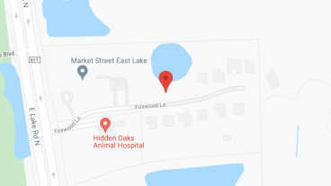 Magnolia Trails at East Lake in google map