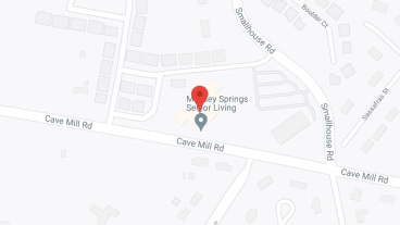 Massey Springs in google map