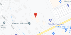 Crown Cypress in google map