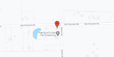 Caritas - Human Services Center in google map
