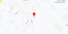 Bigelow's Foster Care in google map
