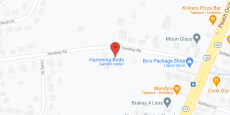 Humming Birds Personal Care in google map