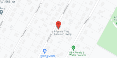 Pfamily Tree Assisted Living in google map