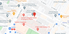Alma Rangel Gardens in google map