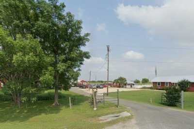 Photo of Live Oak