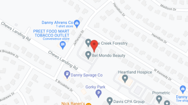 The Colony at Chews Landing in google map