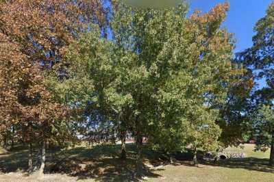 Photo of Hickory Woods