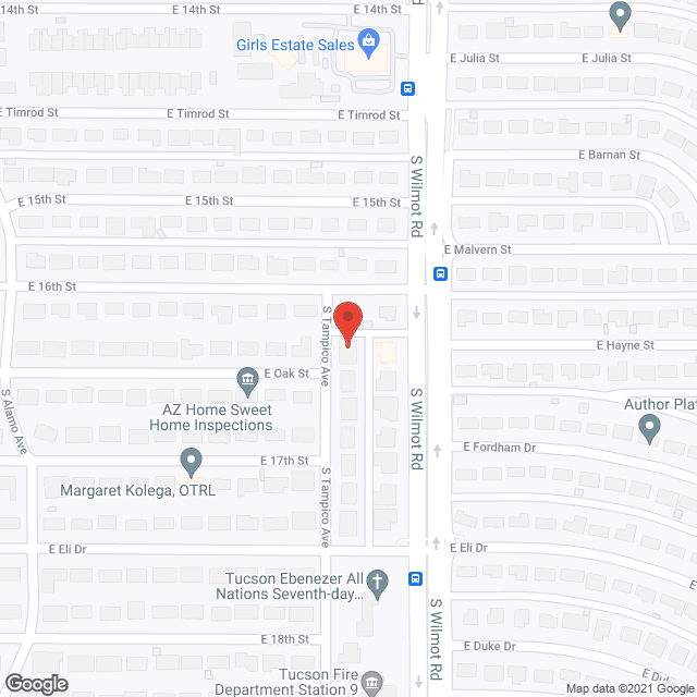 Tampico Health Care in google map