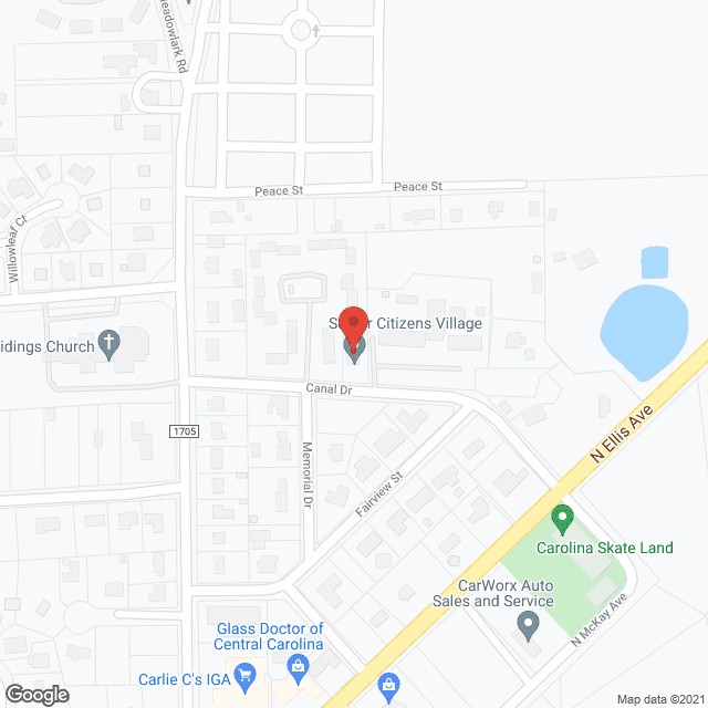 Senior Citizens Village in google map