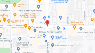 Vista Manor of Bellevue in google map