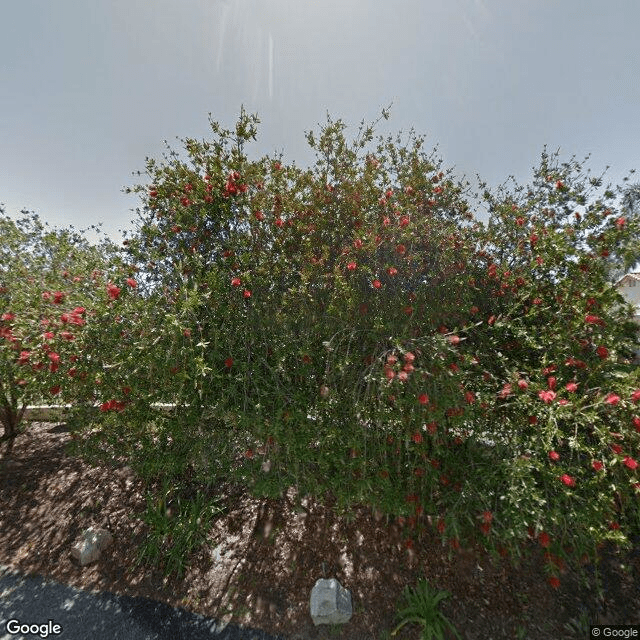 street view of Rancho Verde Residential Care