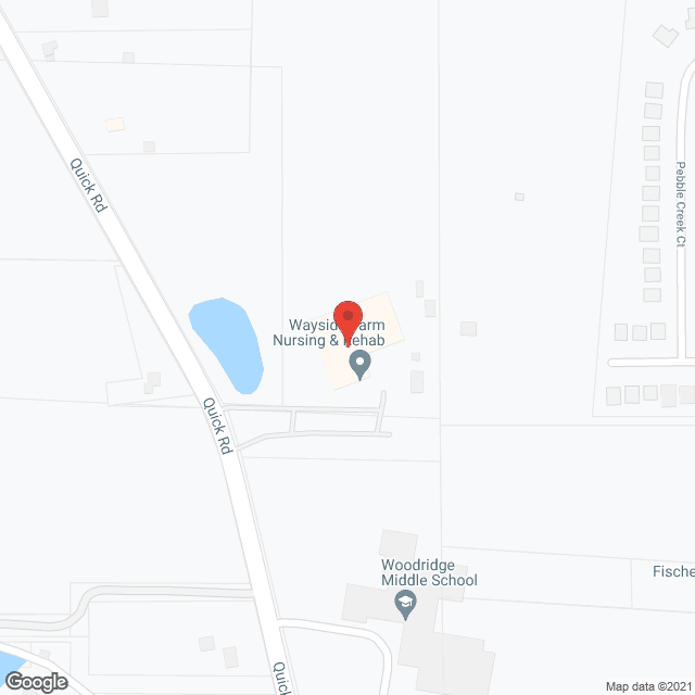 Wayside Farm Nursing & Rehab in google map