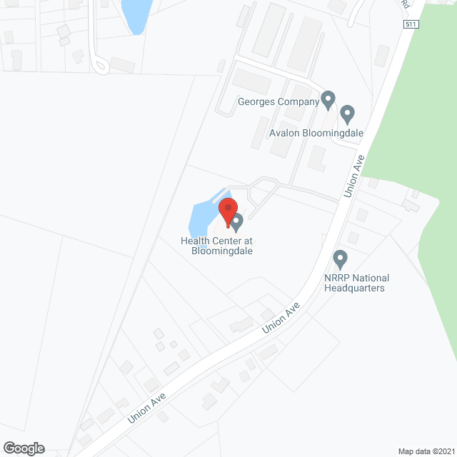 Health Center At Bloomingdale in google map