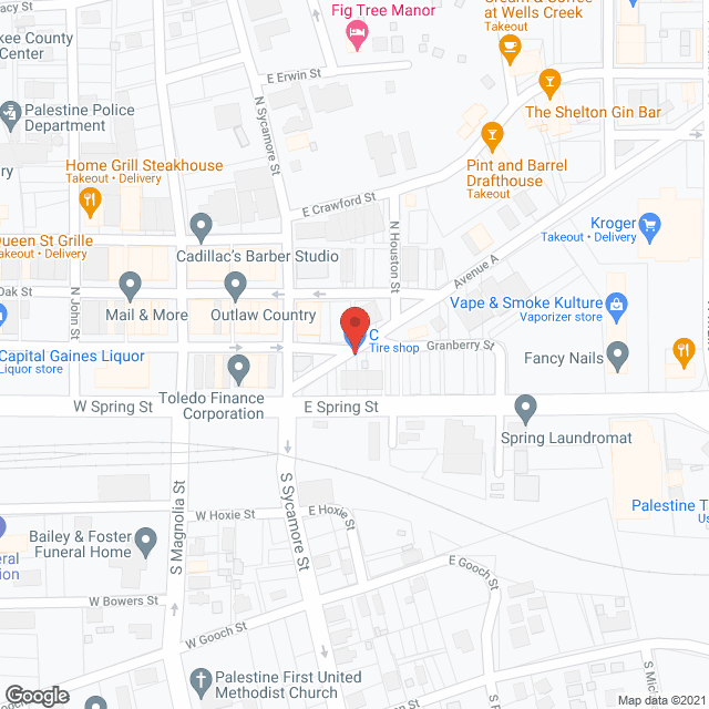 People's Nursing Ctr-Palestine in google map