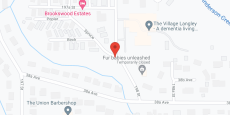 The Village Langley in google map