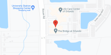 The Bridge at Orlando in google map