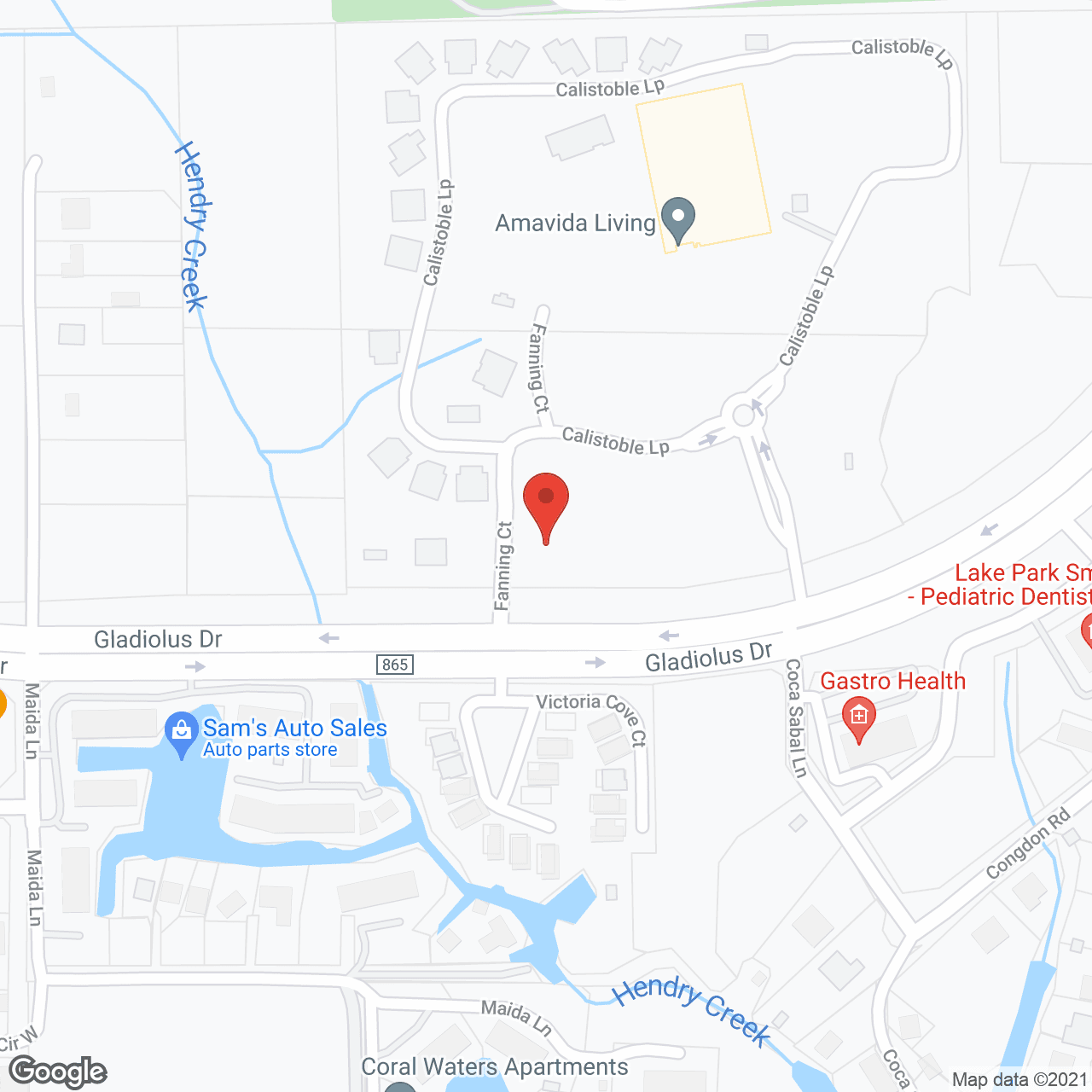 Amavida at Lakes Park in google map