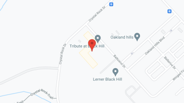 Tribute at Black Hill in google map
