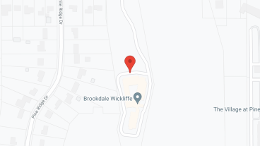 Meadow Falls of Wickliffe in google map