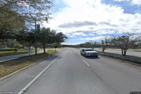 Photo of Starling at Nocatee