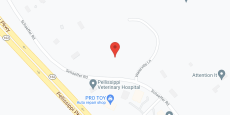 Pinnacle Assisted Living in google map