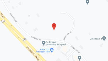 Pinnacle Assisted Living in google map