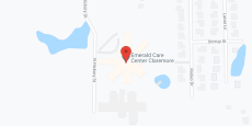 Wood Manor Skilled Nursing in google map