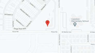 Peppertree in google map