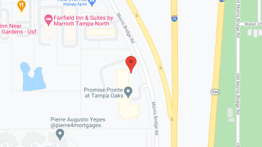 Promise Pointe at Tampa Oaks in google map
