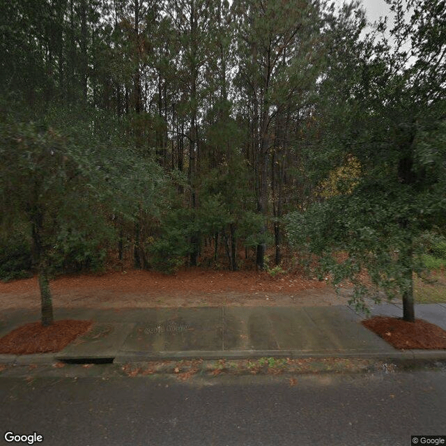 street view of The Addison of West Ashley
