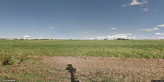 street view of Oak Pointe of Maryville, a Viva Community