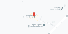 Pine Grove Nursing Center in google map